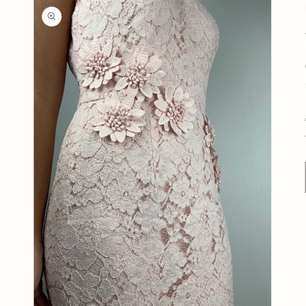 Maggy London Blush Pink Lace Floral Midi Sheath Dress Size 10